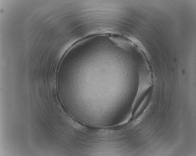 X0000075831081200610061816