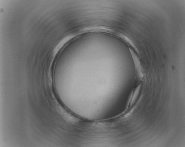 X0000075831082200610061816