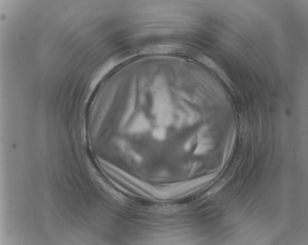 X0000075831083200610061816