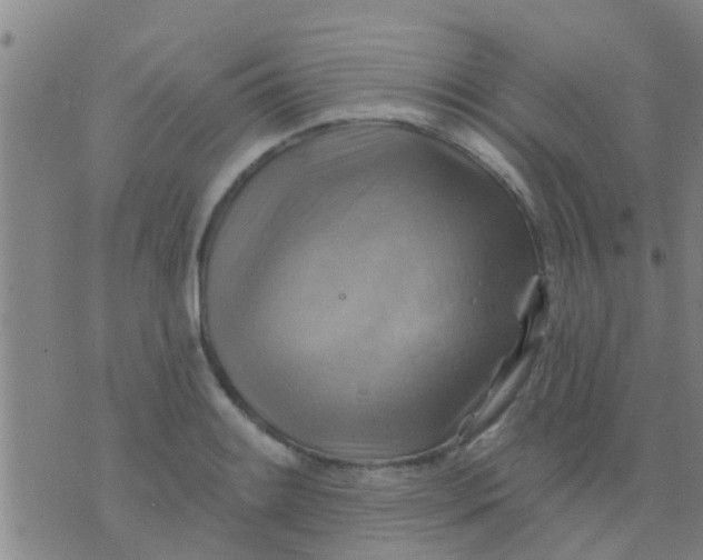 X0000075831084200610061816