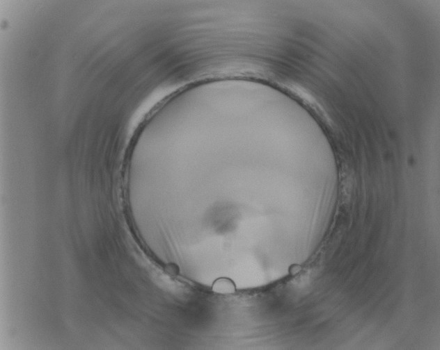 X0000075831086200610061816