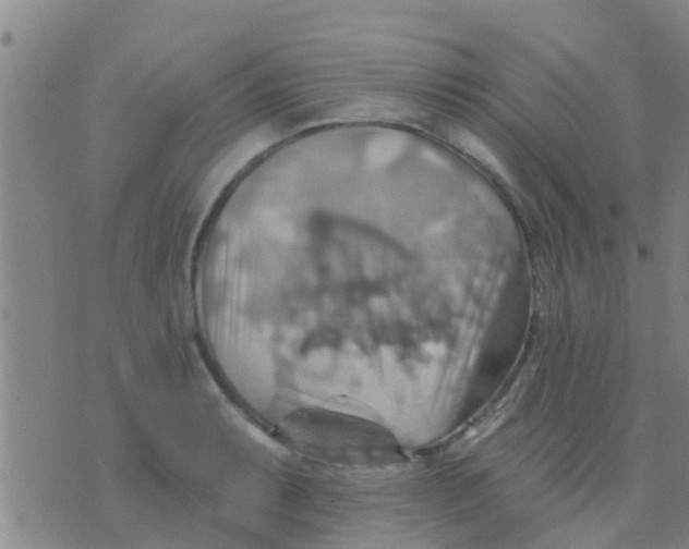 X0000075831087200610061816