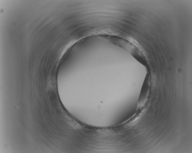 X0000075831089200610061816