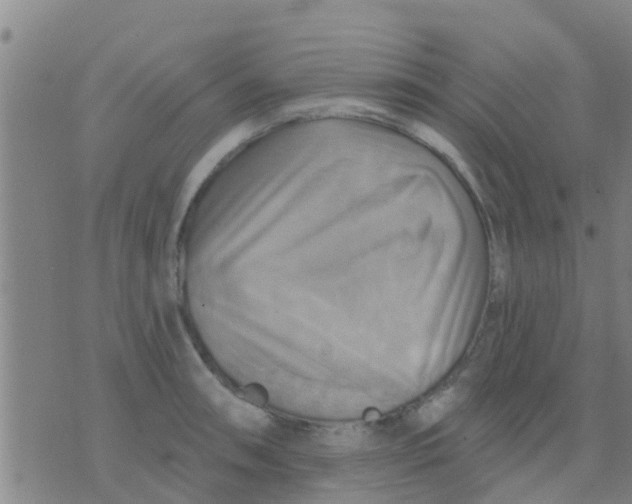 X0000075831090200610061816