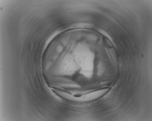 X0000075831091200610061816