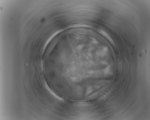 X0000075831092200610061816