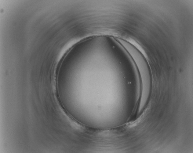 X0000075831093200610061816