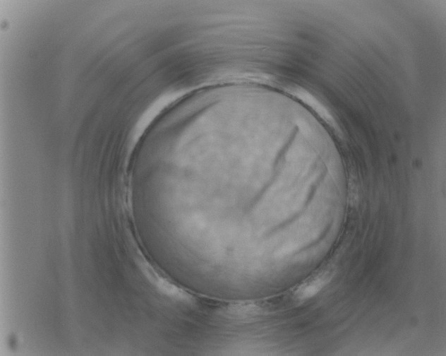 X0000075831094200610061816