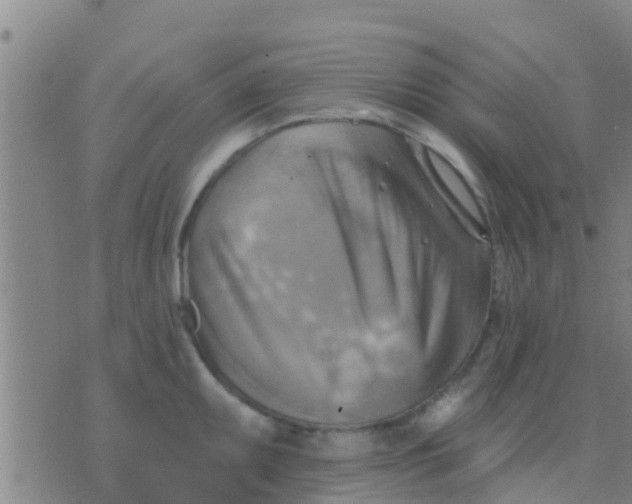 X0000075831095200610061816