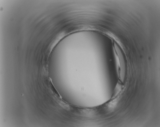 X0000075831097200610061816