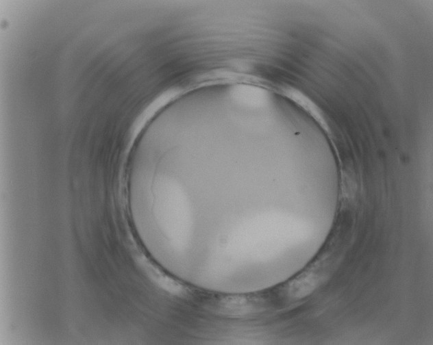 X0000075831098200610061816