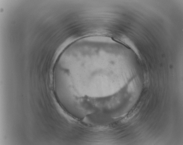 X0000075831099200610061816