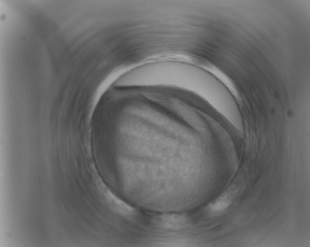 X0000075831102200610061815