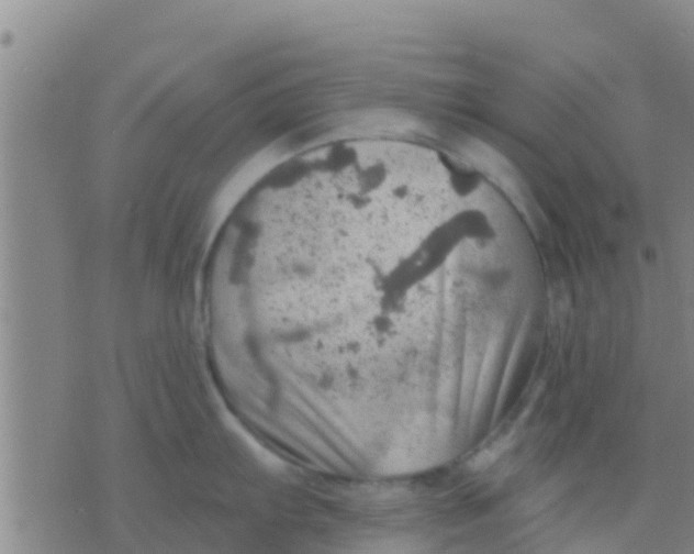 X0000075831103200610061815