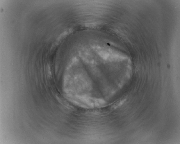 X0000075831106200610061815