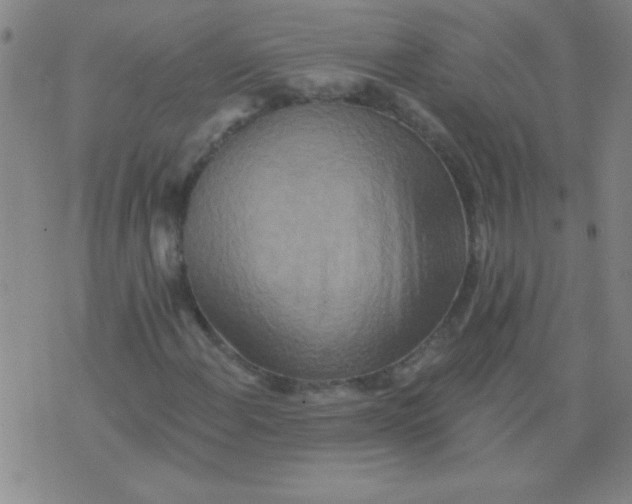 X0000075831108200610061815