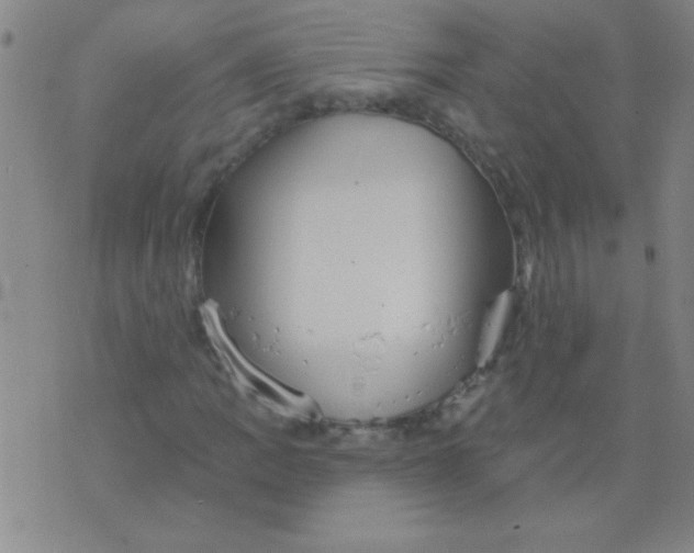 X0000075831109200610061815