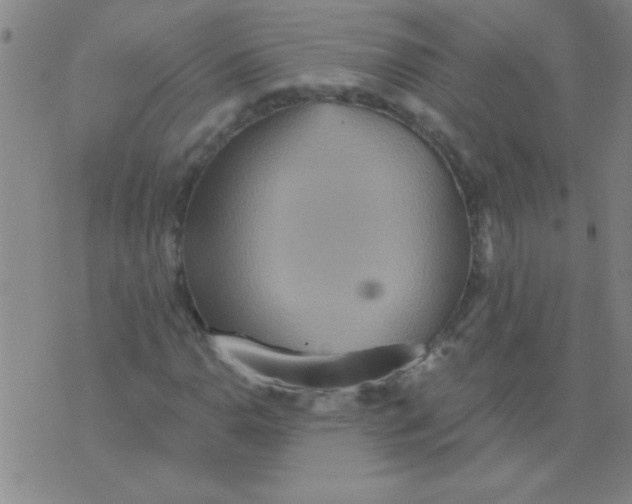 X0000075831110200610061815