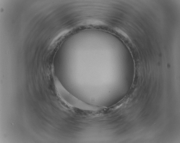 X0000075831112200610061815