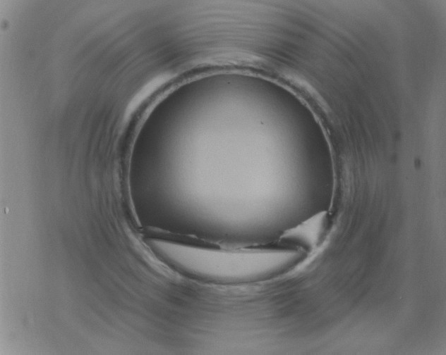 X0000075831114200610061815