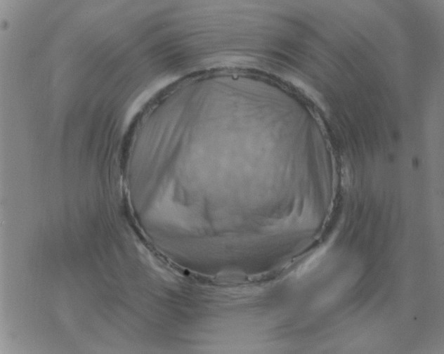 X0000075831117200610061815