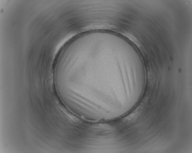 X0000075831119200610061815