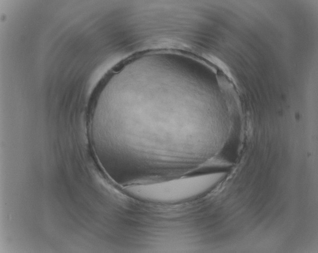 X0000075831120200610061815