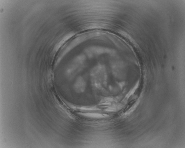 X0000075831121200610061815