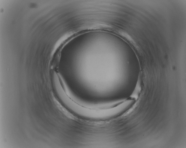 X0000075831122200610061815