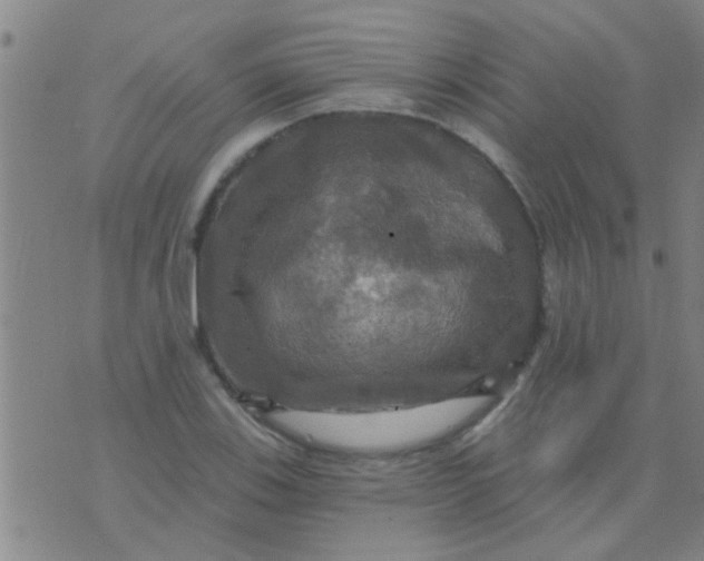 X0000075831123200610061815