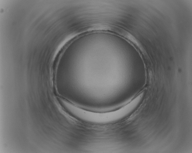 X0000075831124200610061815