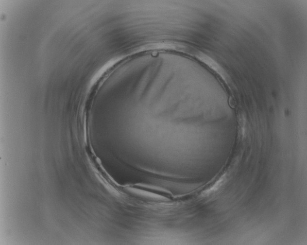 X0000075831127200610061815