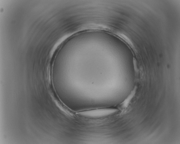 X0000075831128200610061815