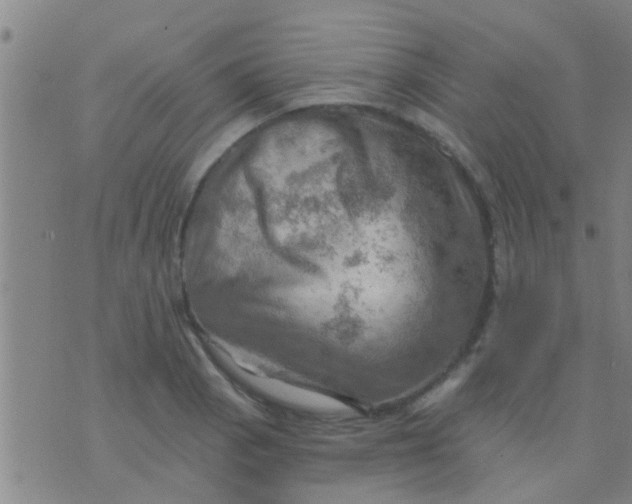 X0000075831129200610061815