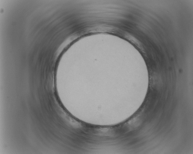 X0000075831130200610061815