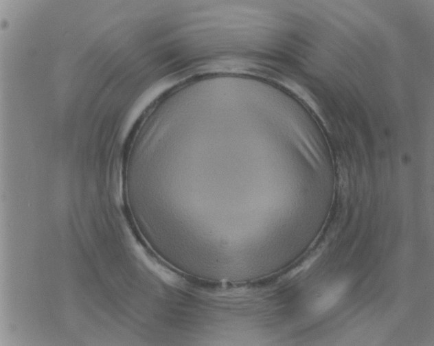 X0000075831131200610061815