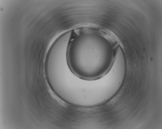 X0000075831132200610061815