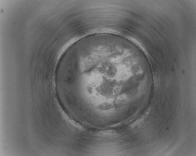 X0000075831133200610061815