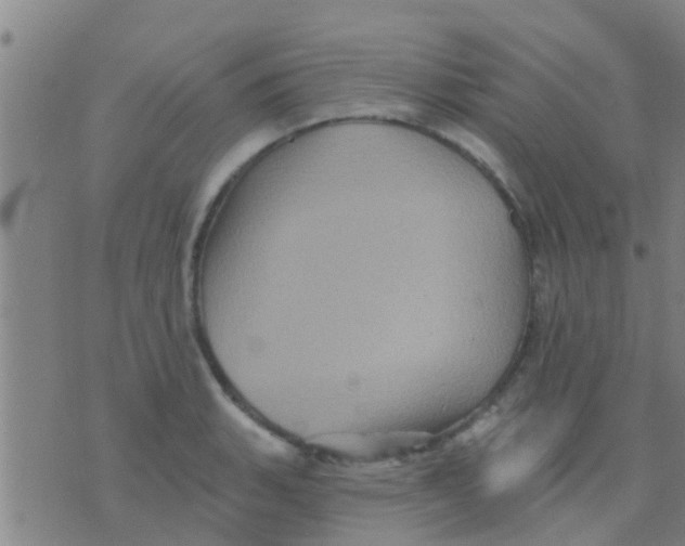 X0000075831135200610061815