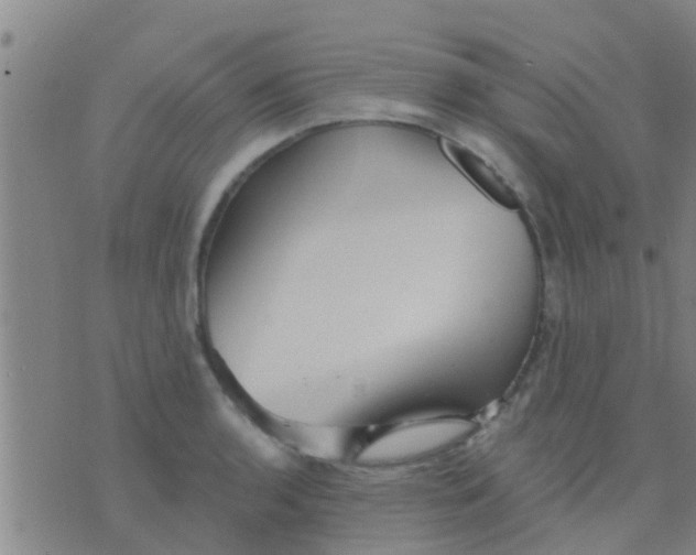 X0000075831136200610061815