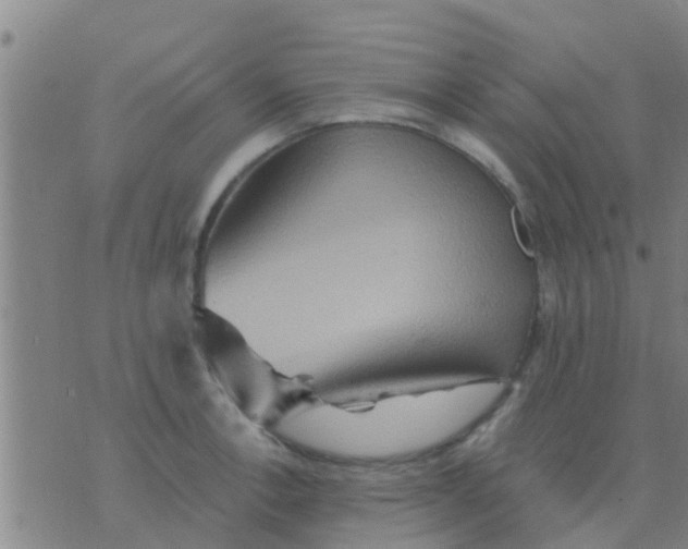 X0000075831138200610061815