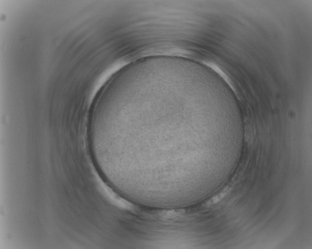 X0000075831139200610061815