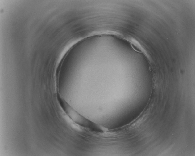 X0000075831140200610061815