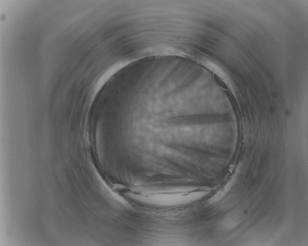 X0000075831141200610061815