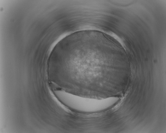 X0000075831142200610061815