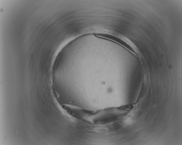 X0000075831144200610061815