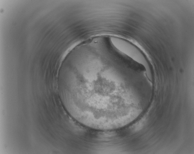 X0000075831145200610061815