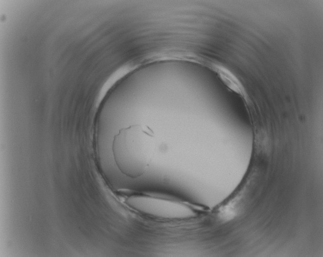 X0000075831146200610061815