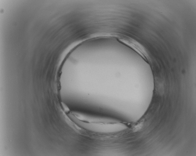 X0000075831148200610061815