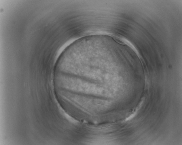 X0000075831149200610061815